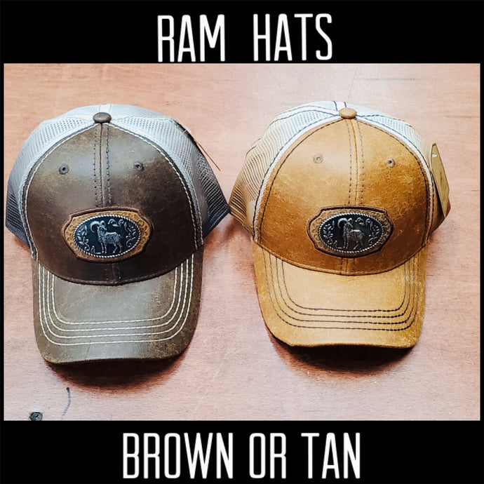 Ram Buckle Hat